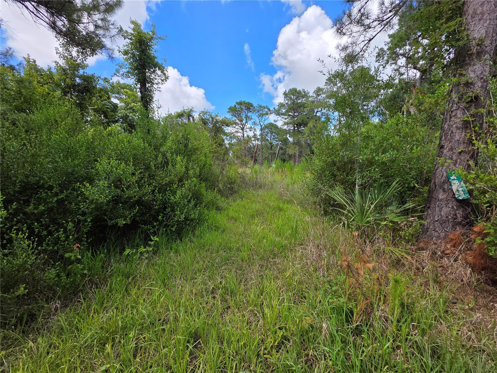 4863 Meadow Green Rd Property Photo 2