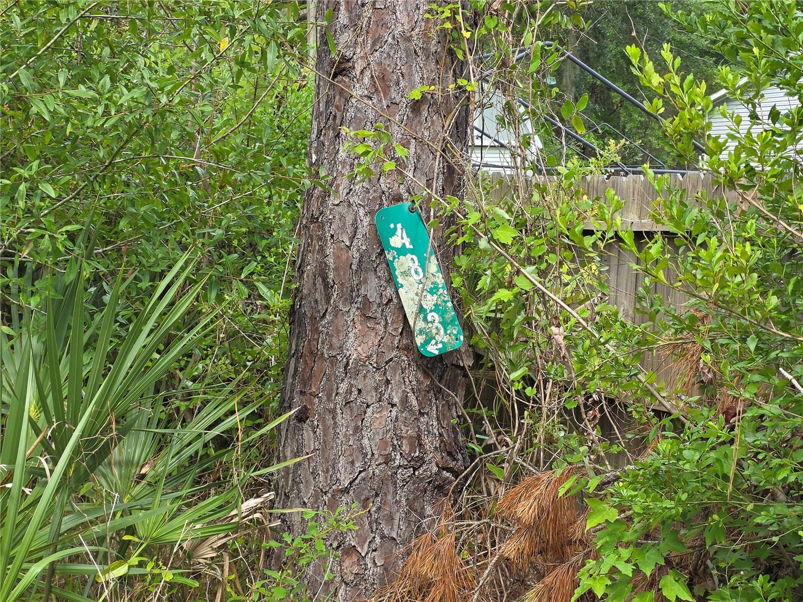 4863 Meadow Green Rd Property Photo 3