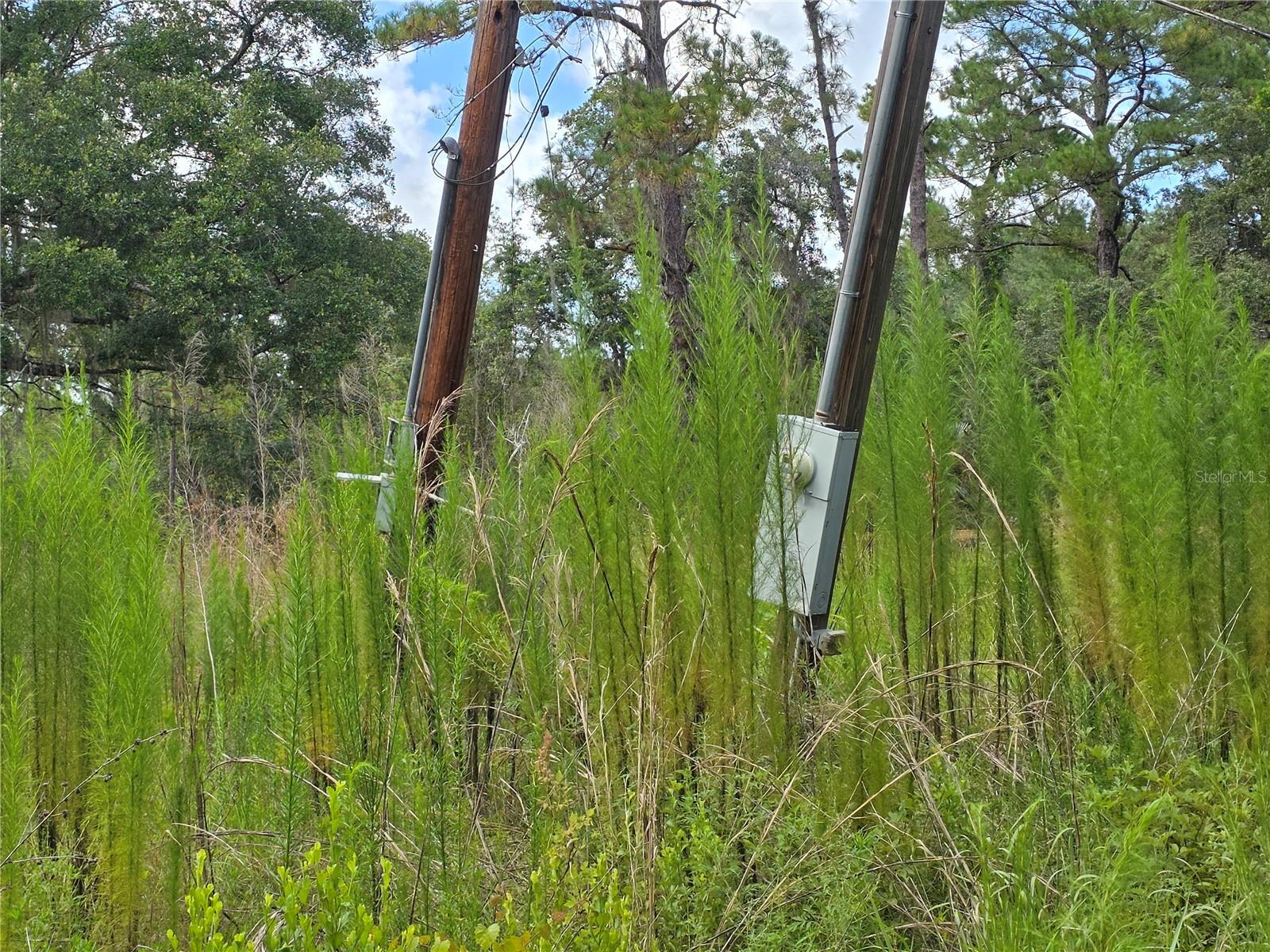 4863 Meadow Green Rd Property Photo 4