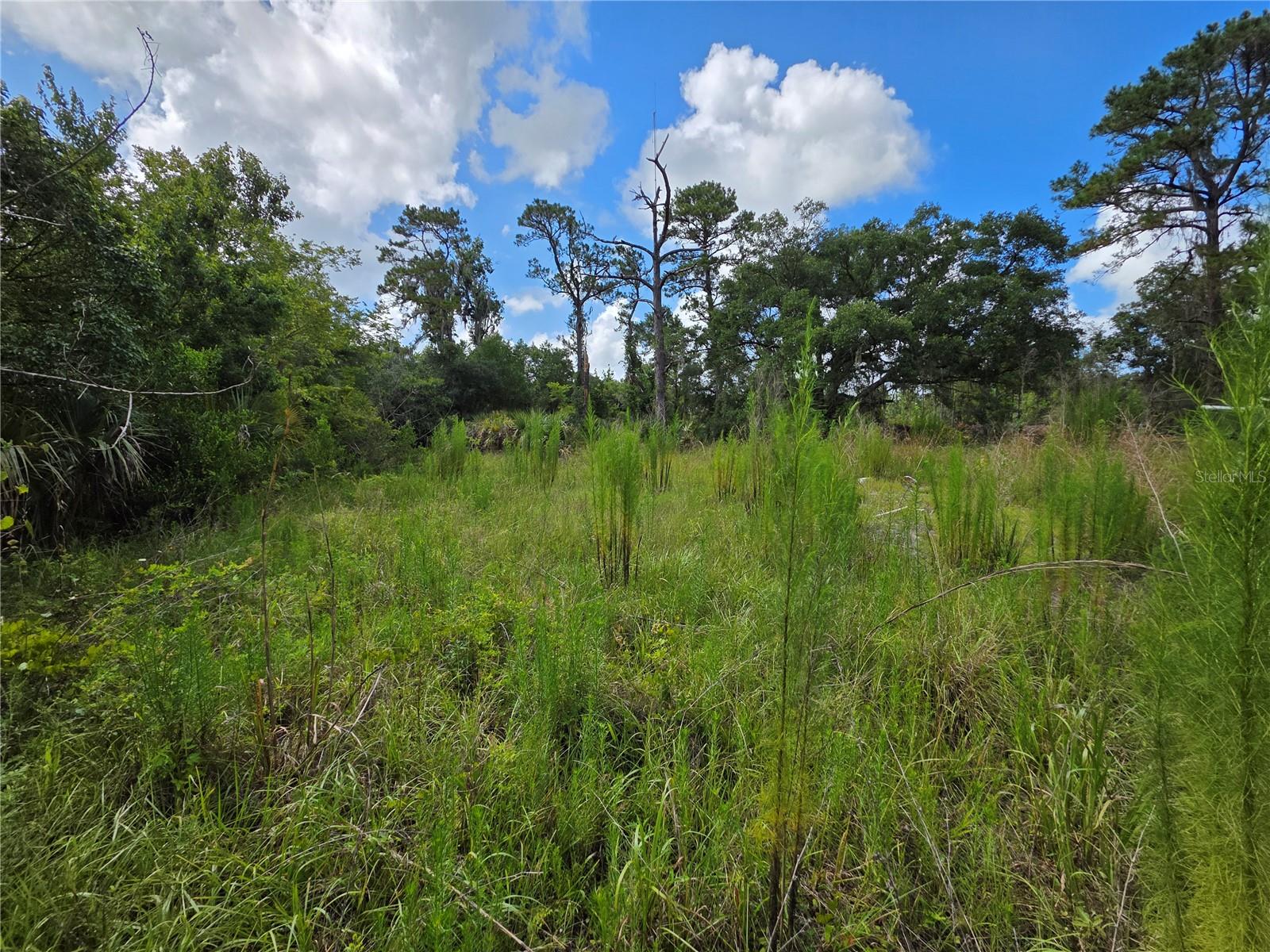 4863 Meadow Green Rd Property Photo 7