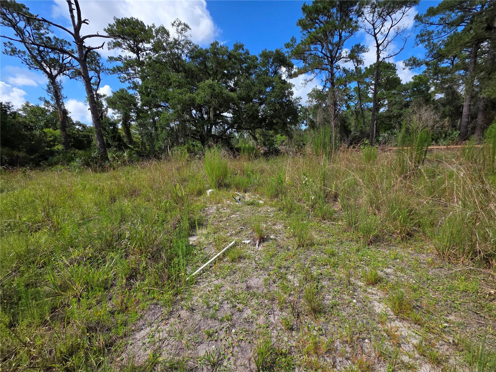 4863 Meadow Green Rd Property Photo 9