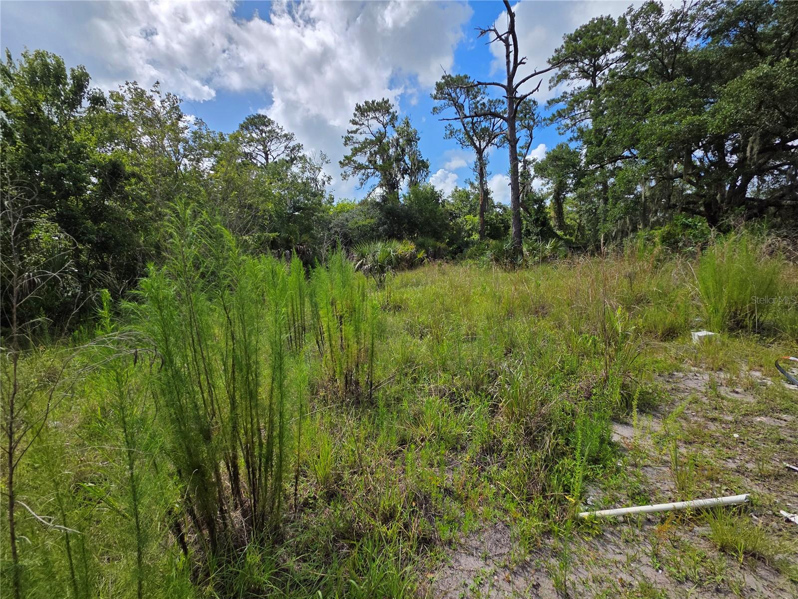 4863 Meadow Green Rd Property Photo 10
