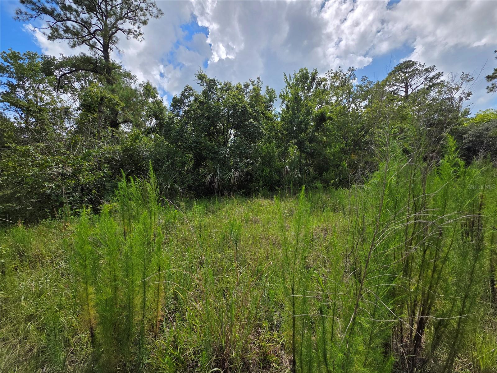 4863 Meadow Green Rd Property Photo 11