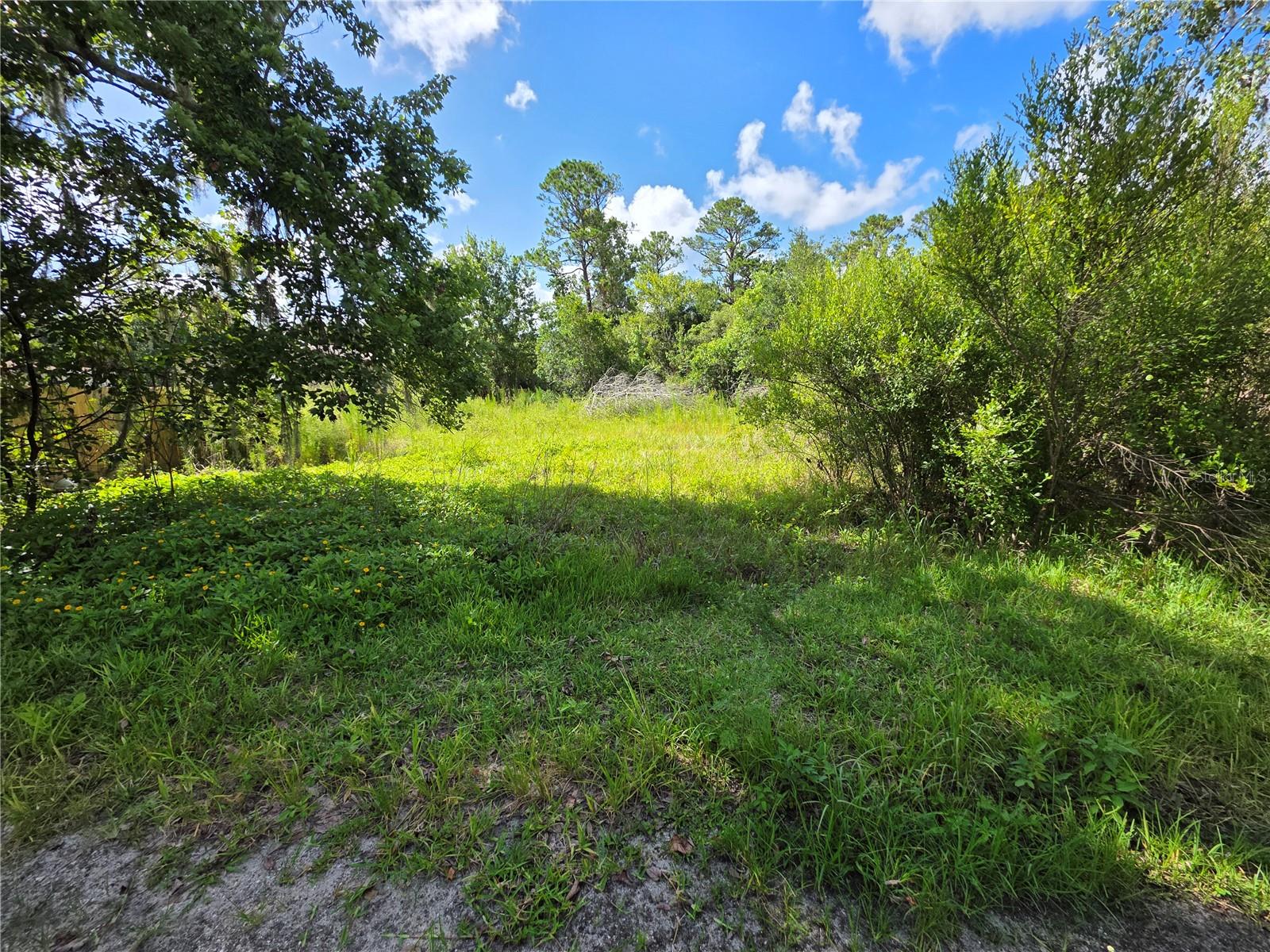 4863 Meadow Green Rd Property Photo 13