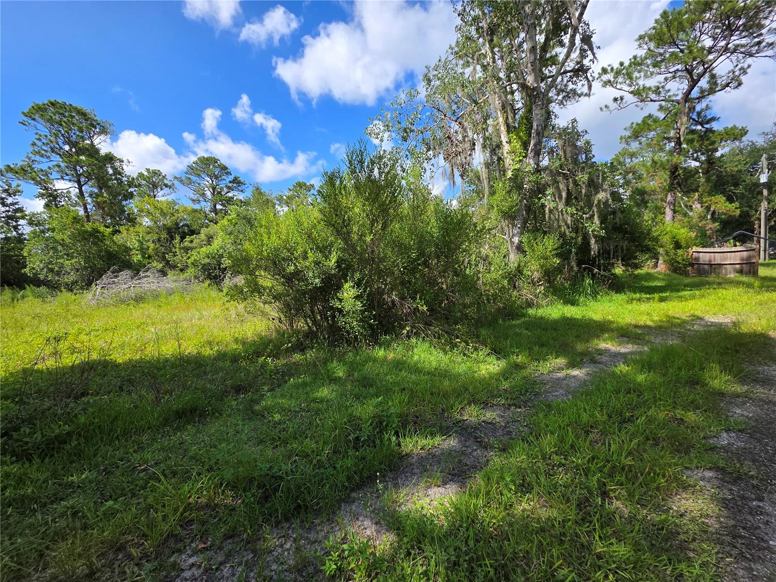 4863 Meadow Green Rd Property Photo 14