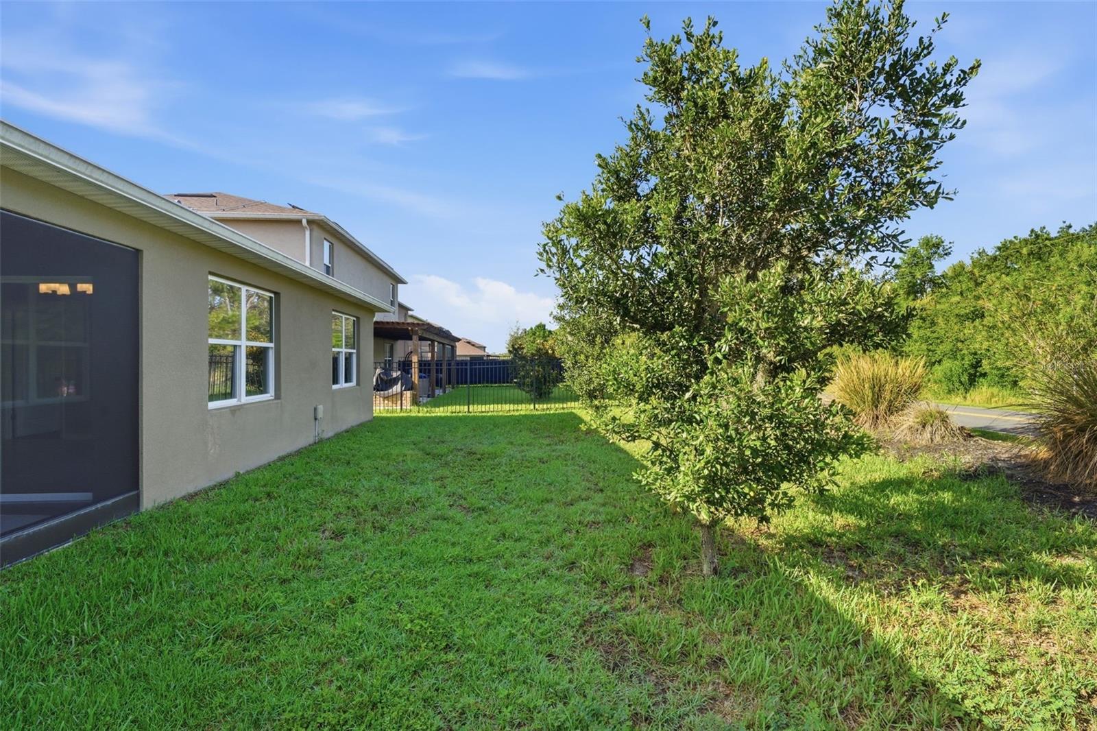 895 Lazio Cir Property Photo 39