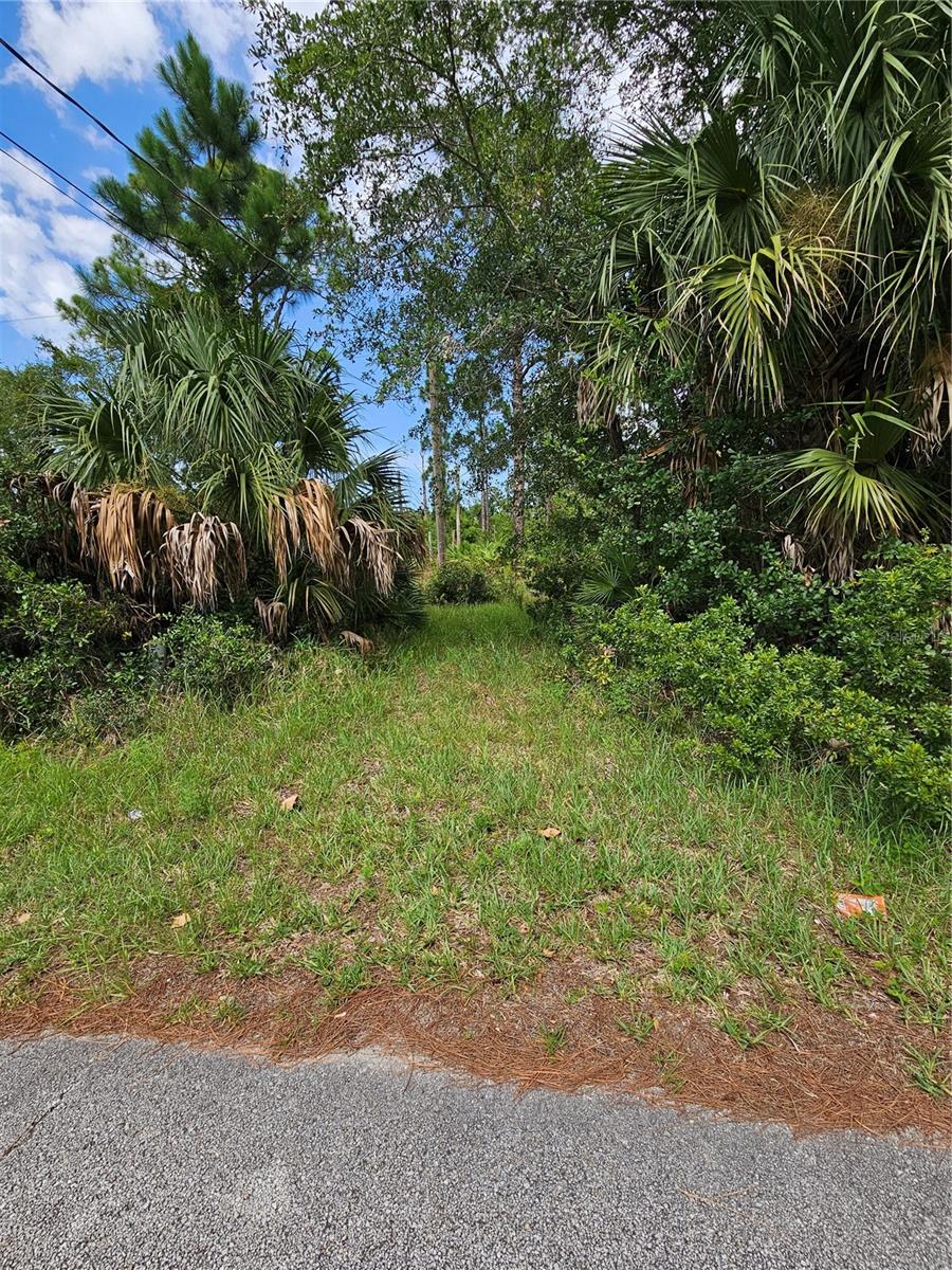 1715 Tatum Blvd Property Photo 1