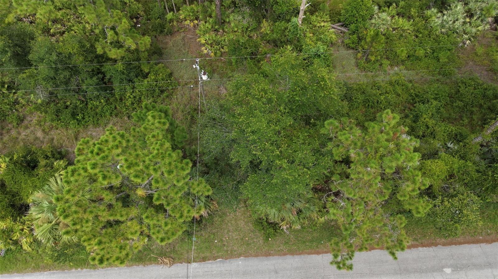 1715 Tatum Blvd Property Photo 3