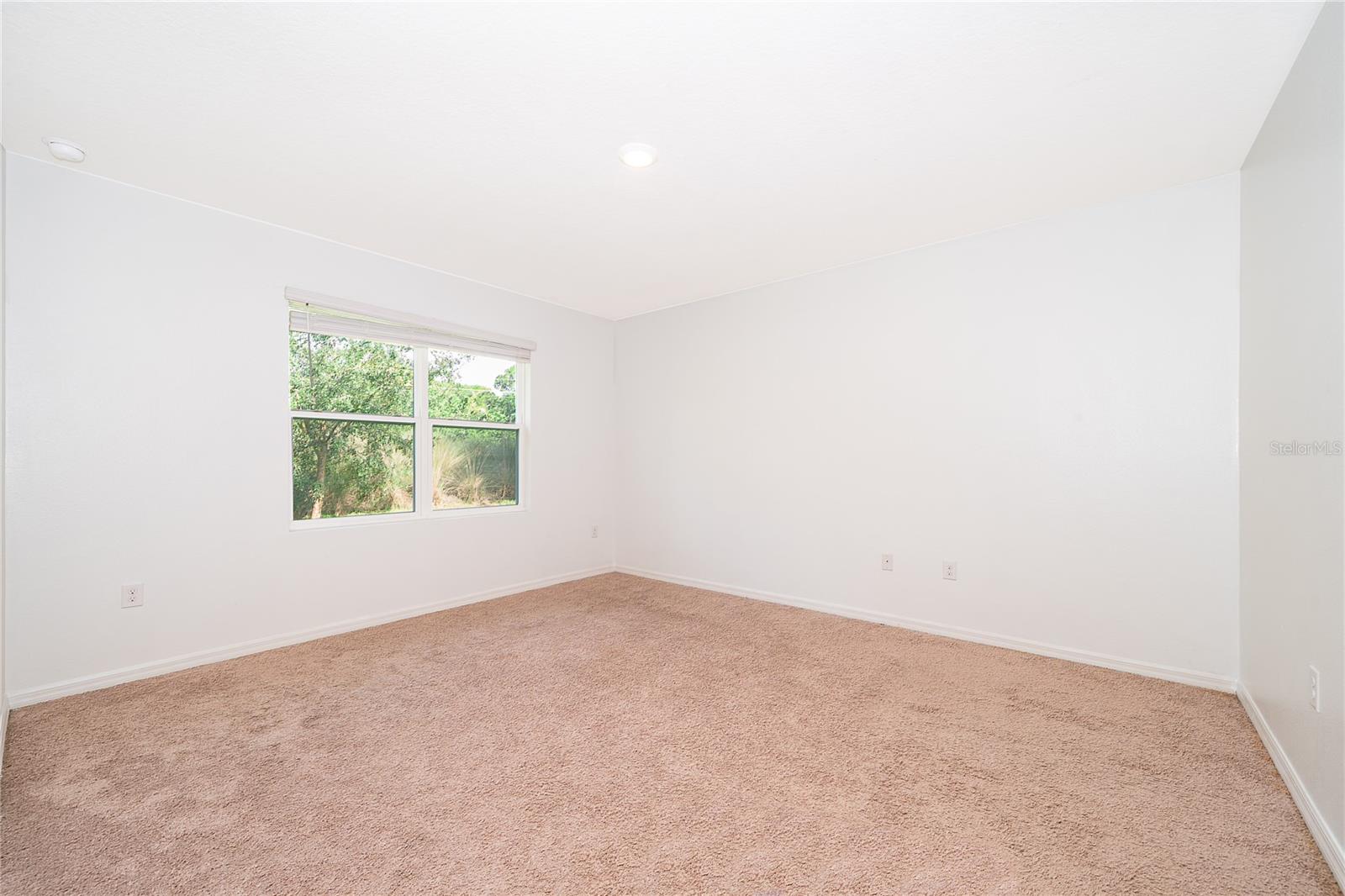 239 Lazio Cir Property Photo 23