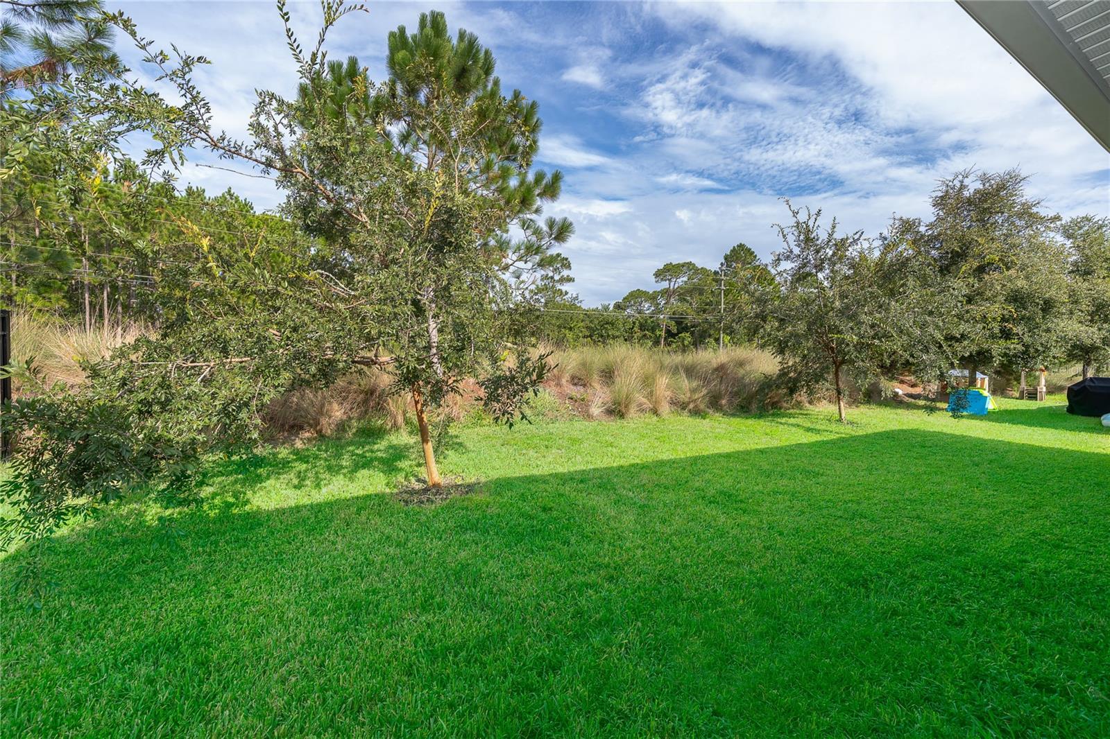 239 Lazio Cir Property Photo 27