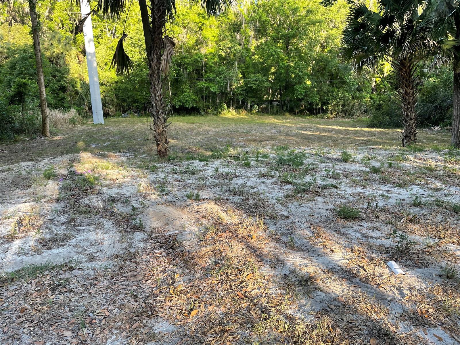 Park Ave Property Photo 1