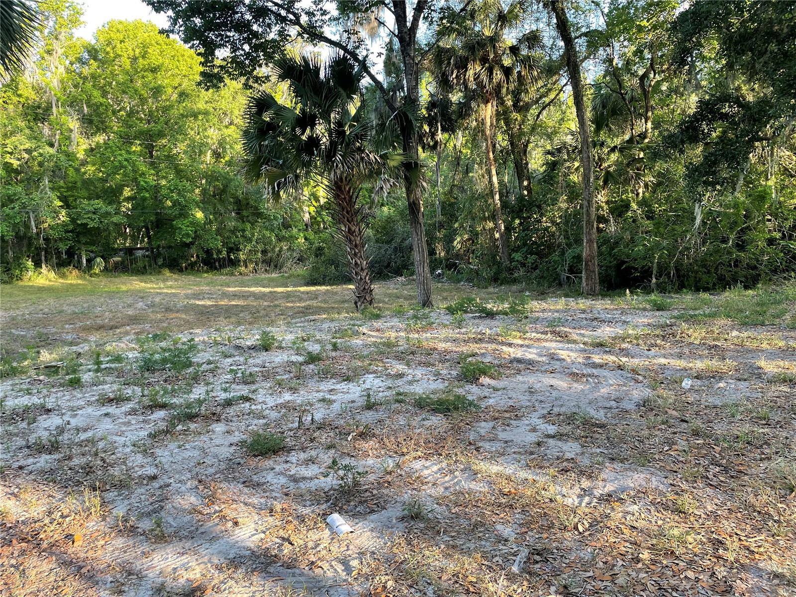 Park Ave Property Photo 2