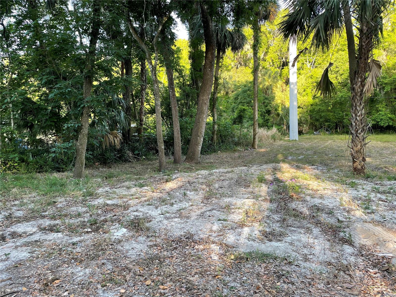 Park Ave Property Photo 3