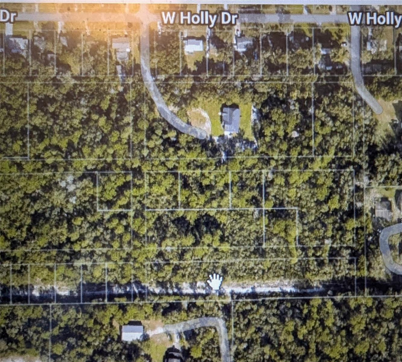 Nelson Ave Property Photo 3