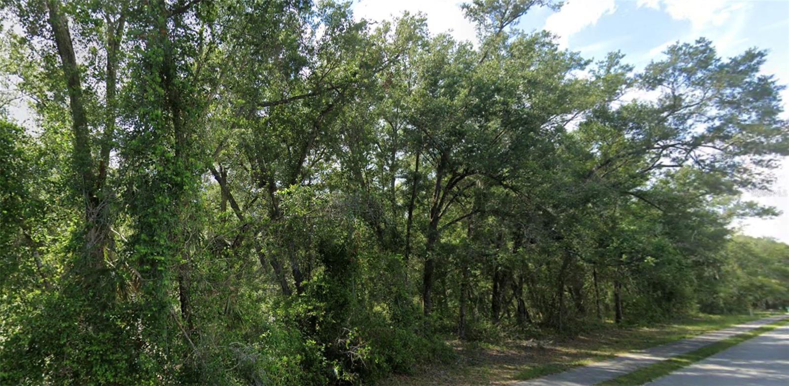 426 Church Property Photo 4
