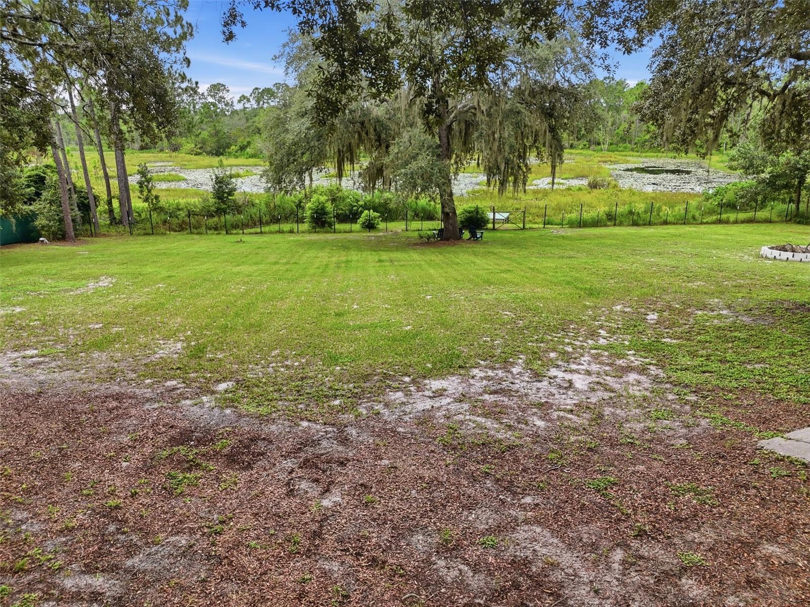 31622 Another Anna Rd Property Photo 51
