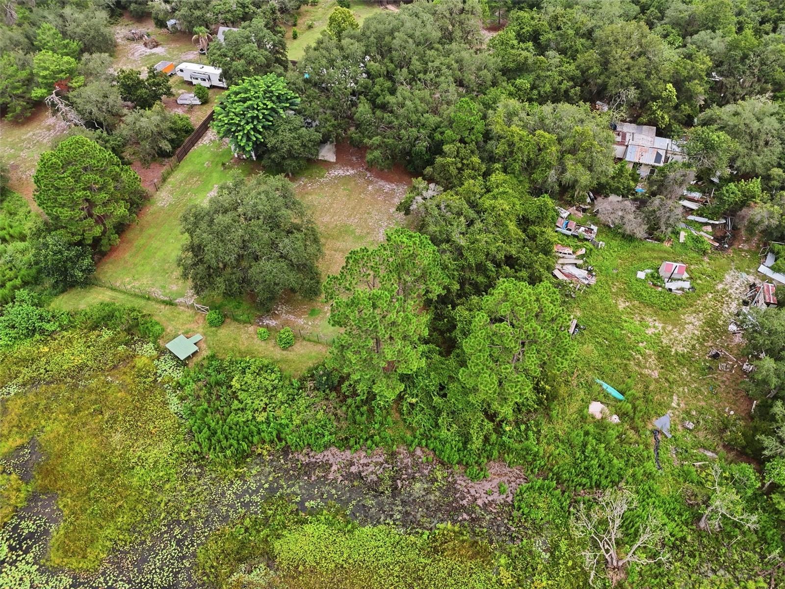 31622 Another Anna Rd Property Photo 62