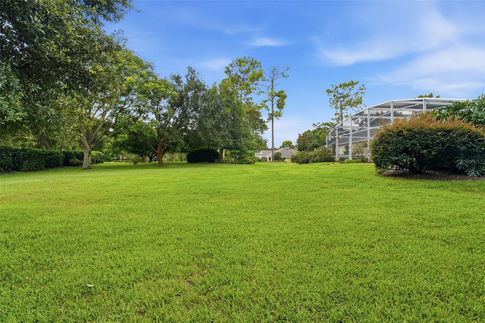 1681 Timber Edge Dr Property Photo 39