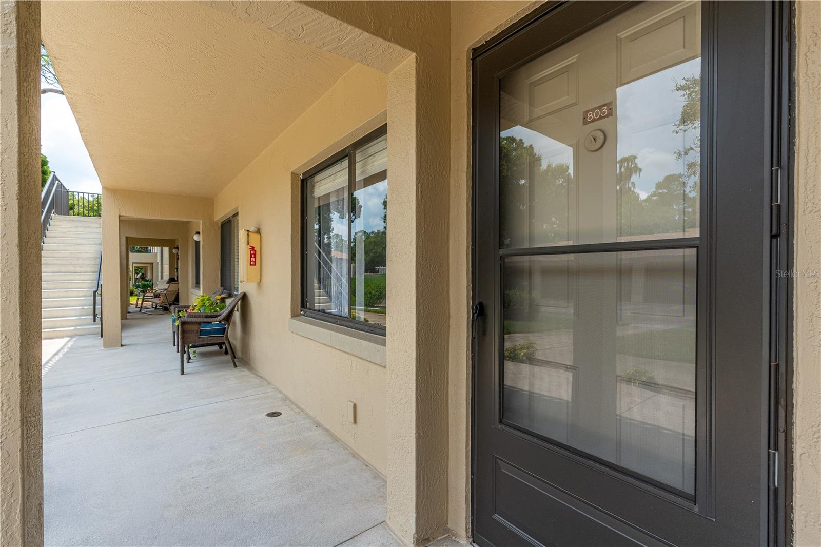 1601 Big Tree Rd #803 Property Photo 6
