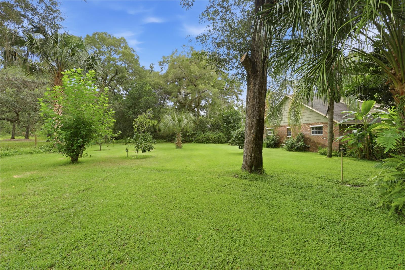 1925 Lady Bug Ln Property Photo 49