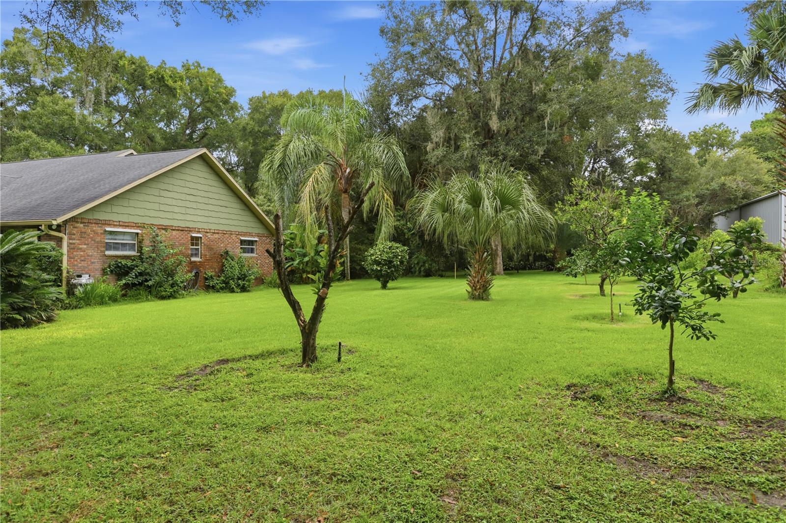 1925 Lady Bug Ln Property Photo 50