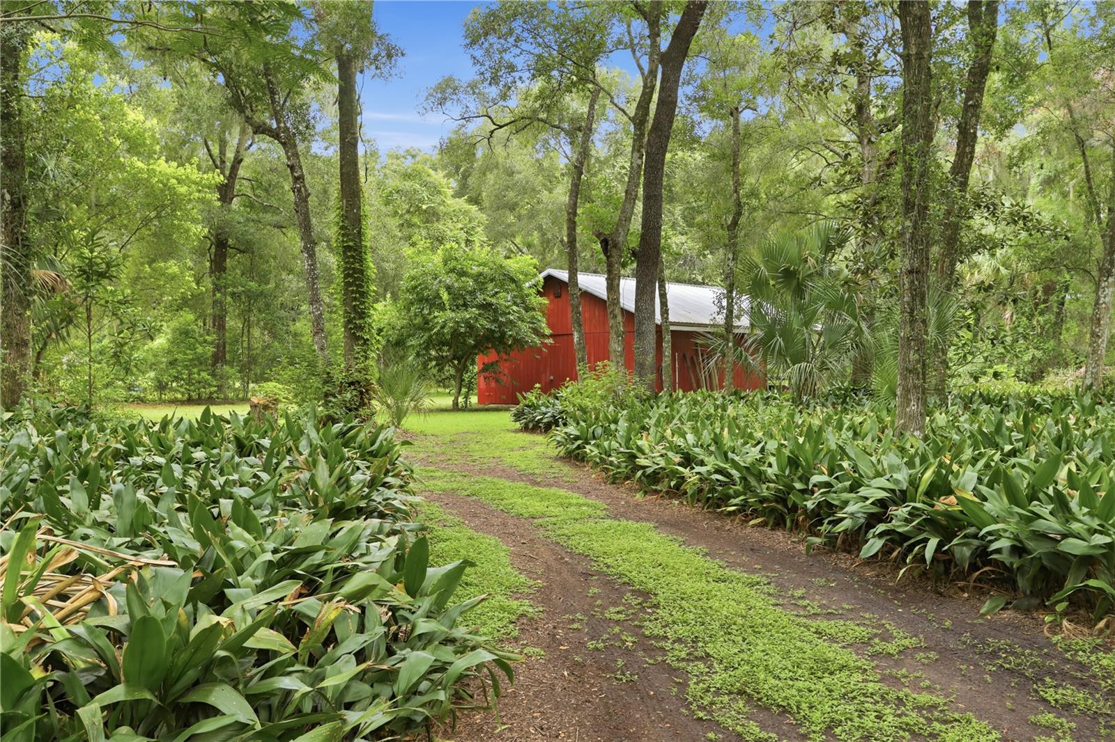 1925 Lady Bug Ln Property Photo 52