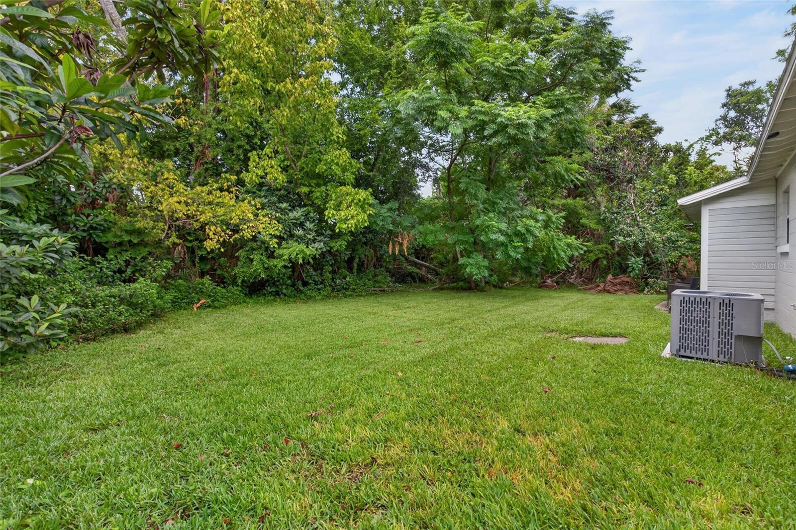 126 Harney St Property Photo 34