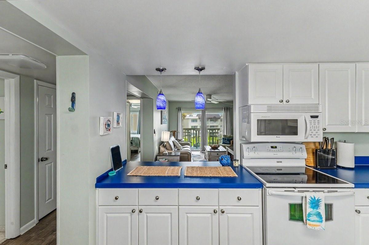3663 S Atlantic Ave #33b Property Photo 9