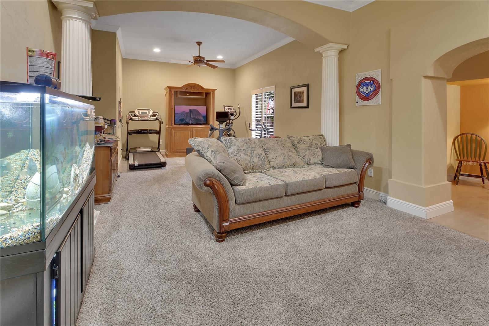 6241 Palomino Cir Property Photo 34