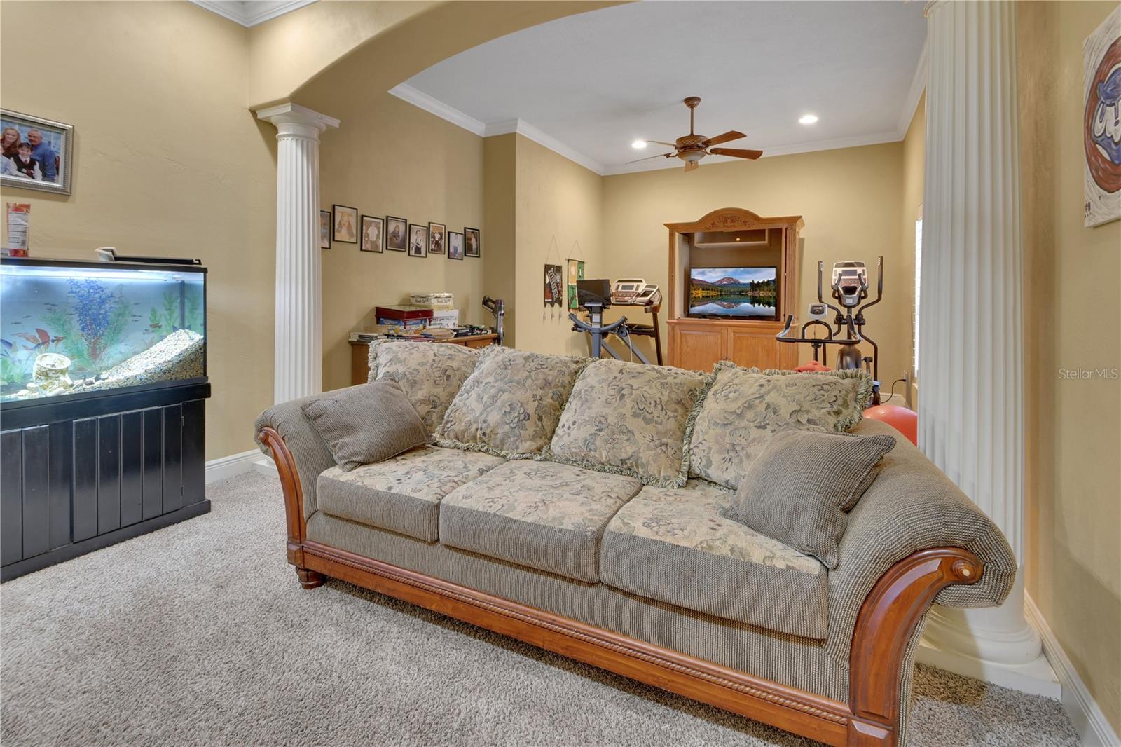 6241 Palomino Cir Property Photo 35