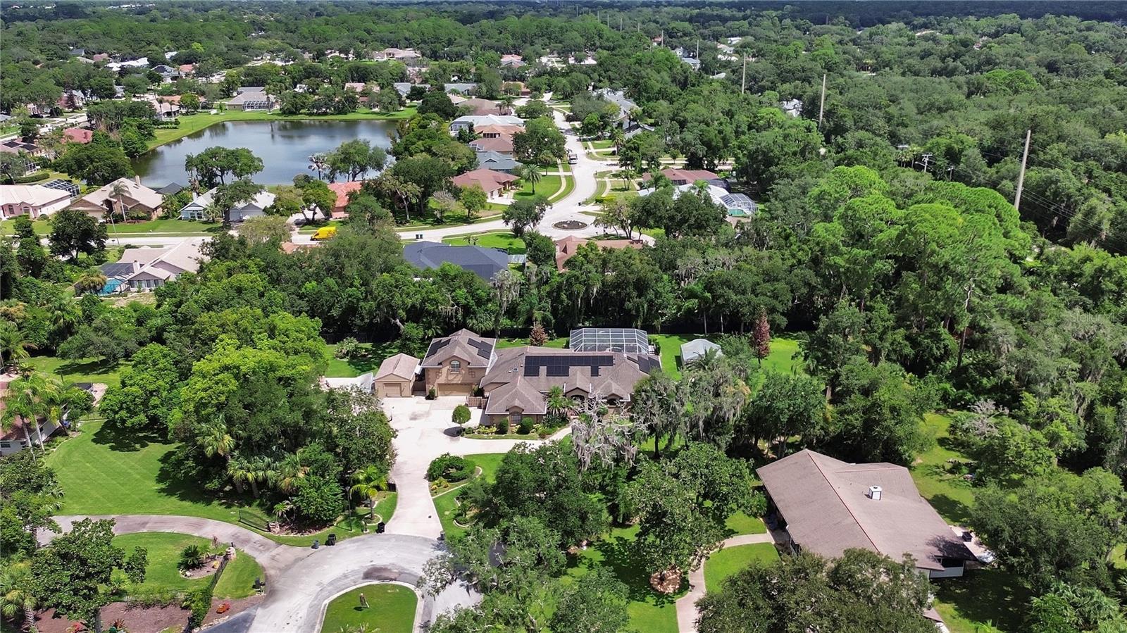 6241 Palomino Cir Property Photo 61