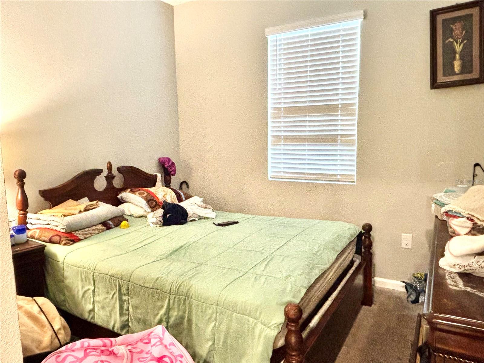 1029 River Otter Way Property Photo 14