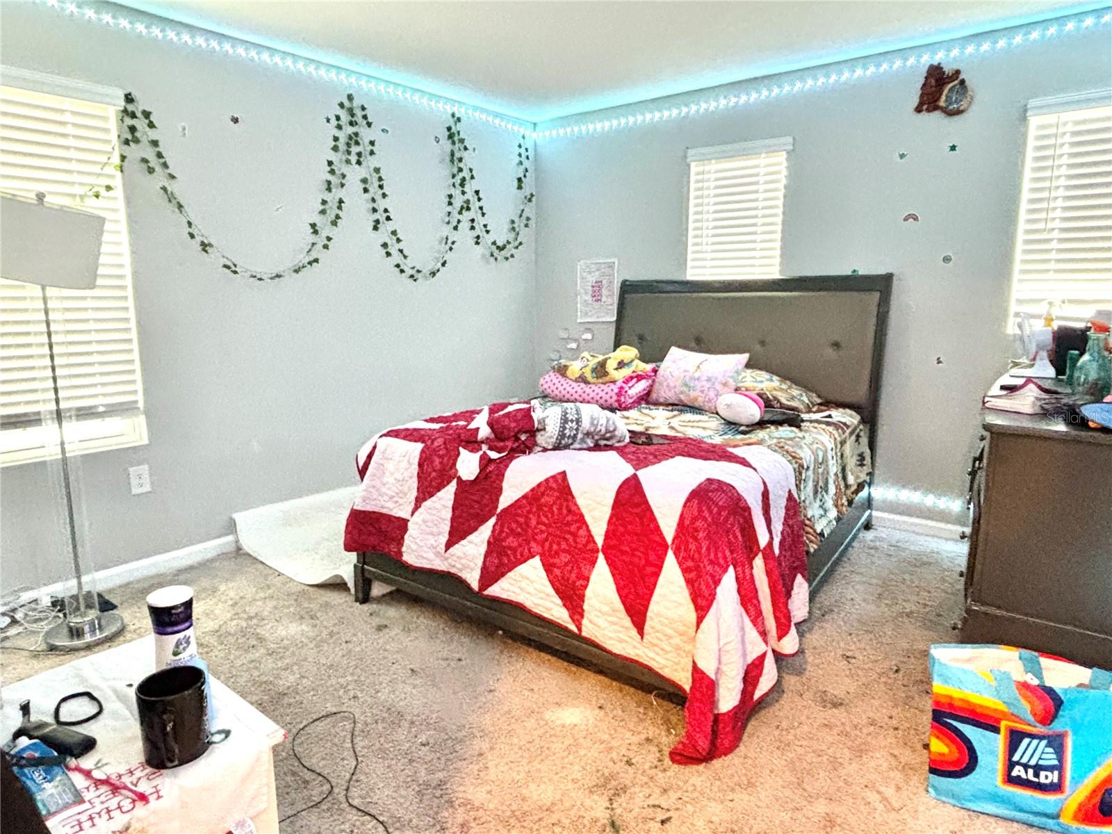 1029 River Otter Way Property Photo 28