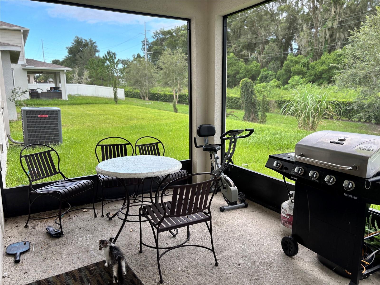 1029 River Otter Way Property Photo 37