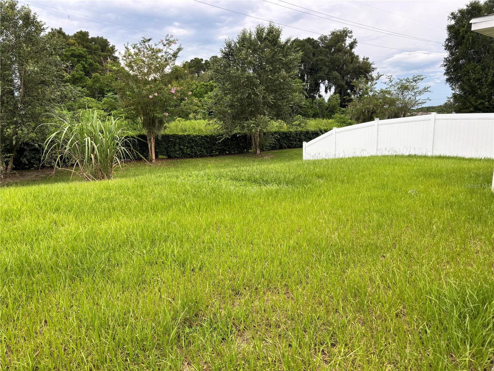 1029 River Otter Way Property Photo 38