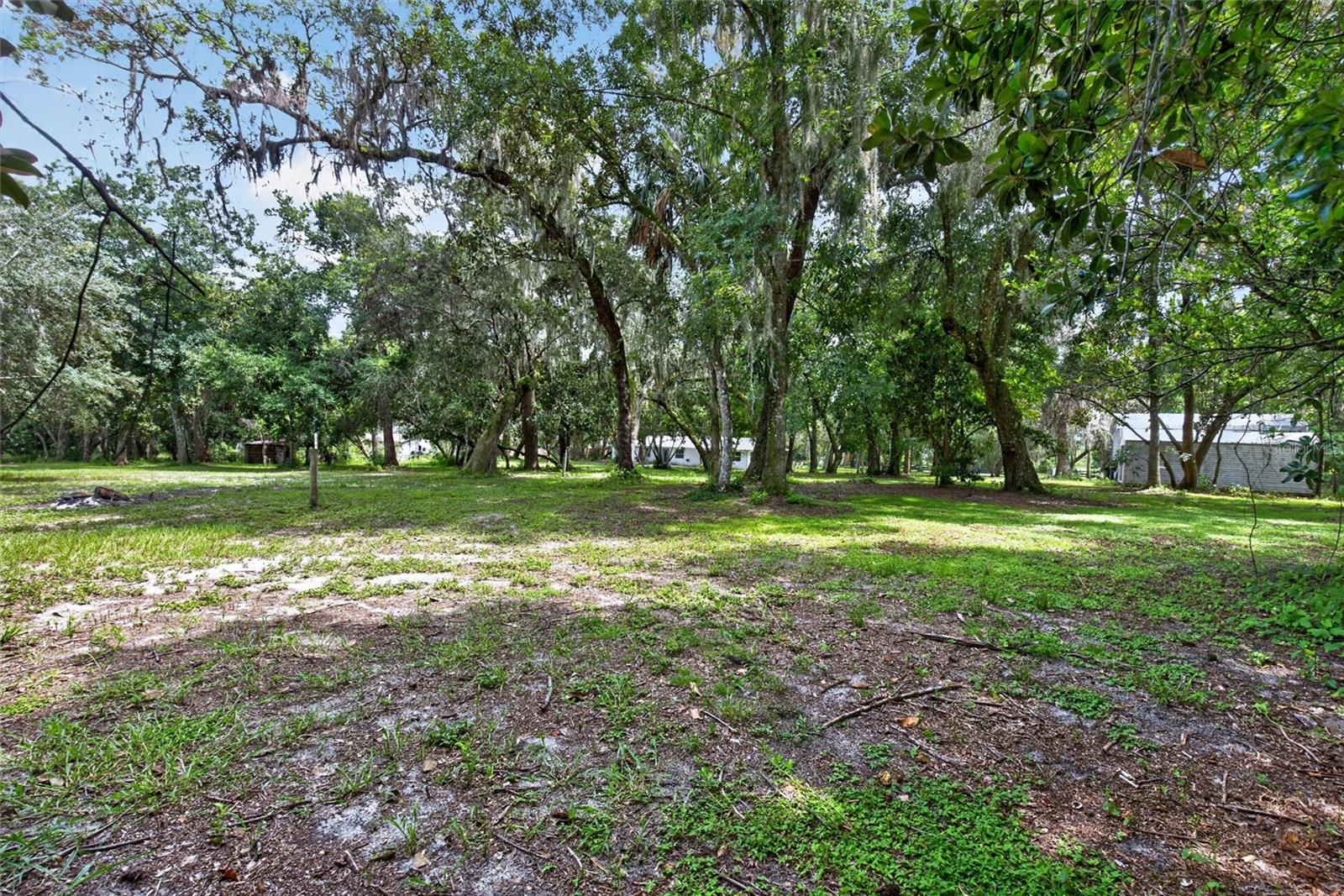 300 Scott Rd Property Photo 62