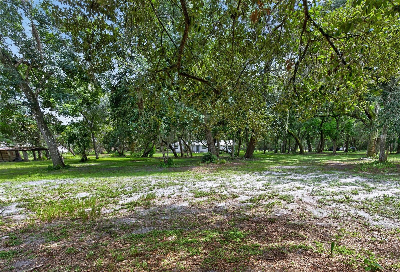 300 Scott Rd Property Photo 63
