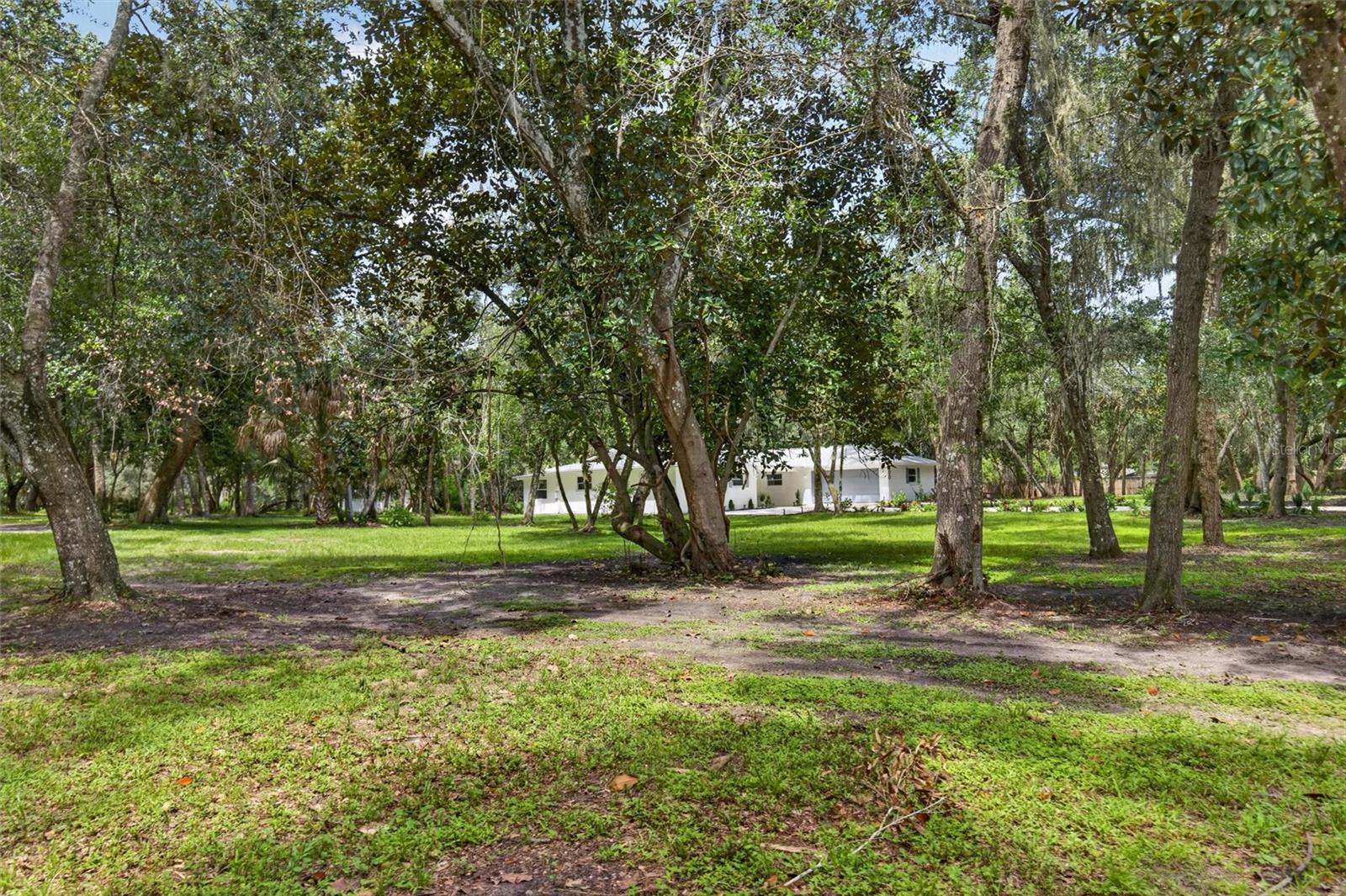 300 Scott Rd Property Photo 84