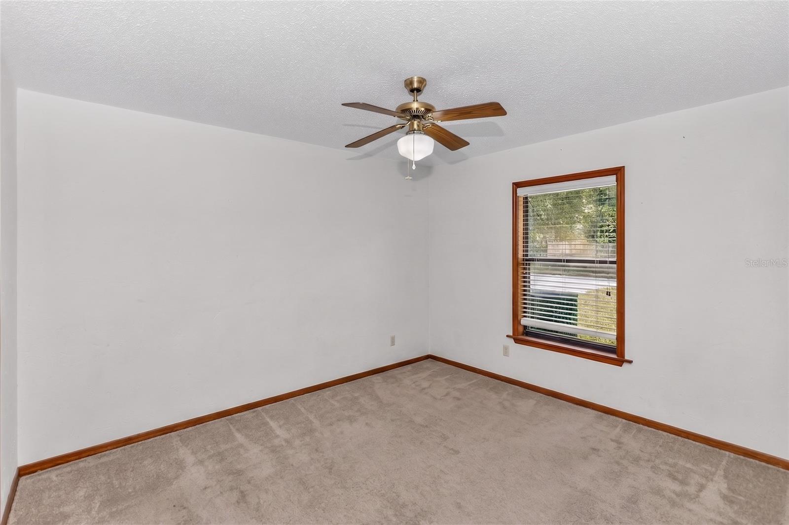 13 Cunningham Rd Property Photo 25