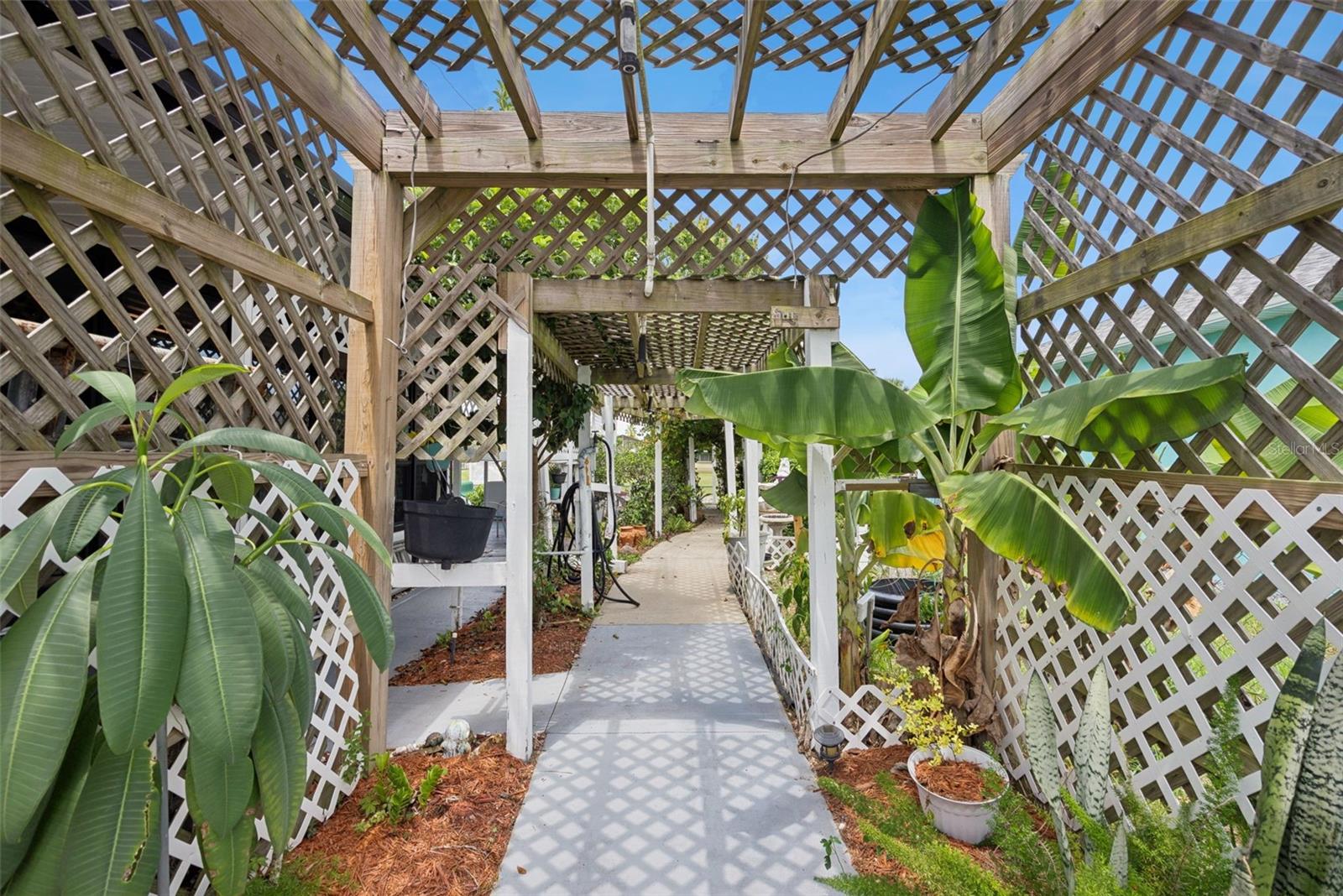 109 Douglas St Property Photo 32