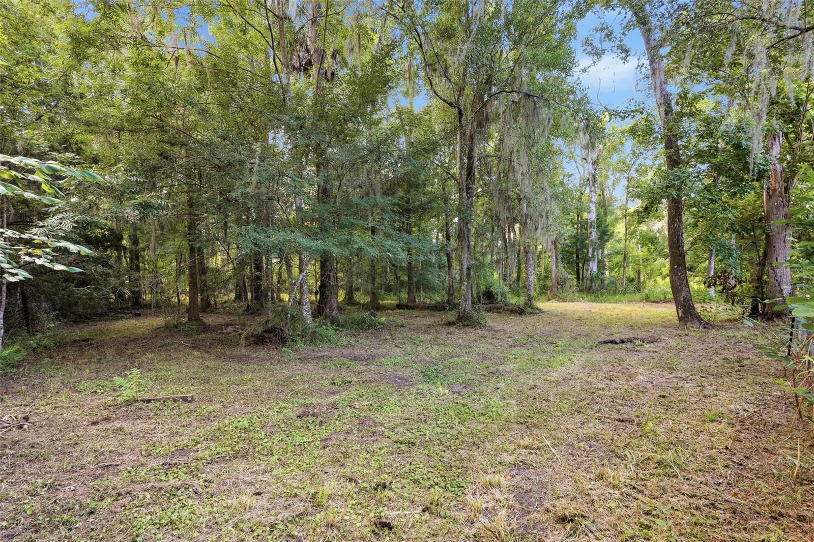 2050 Minorca Rd Property Photo 9