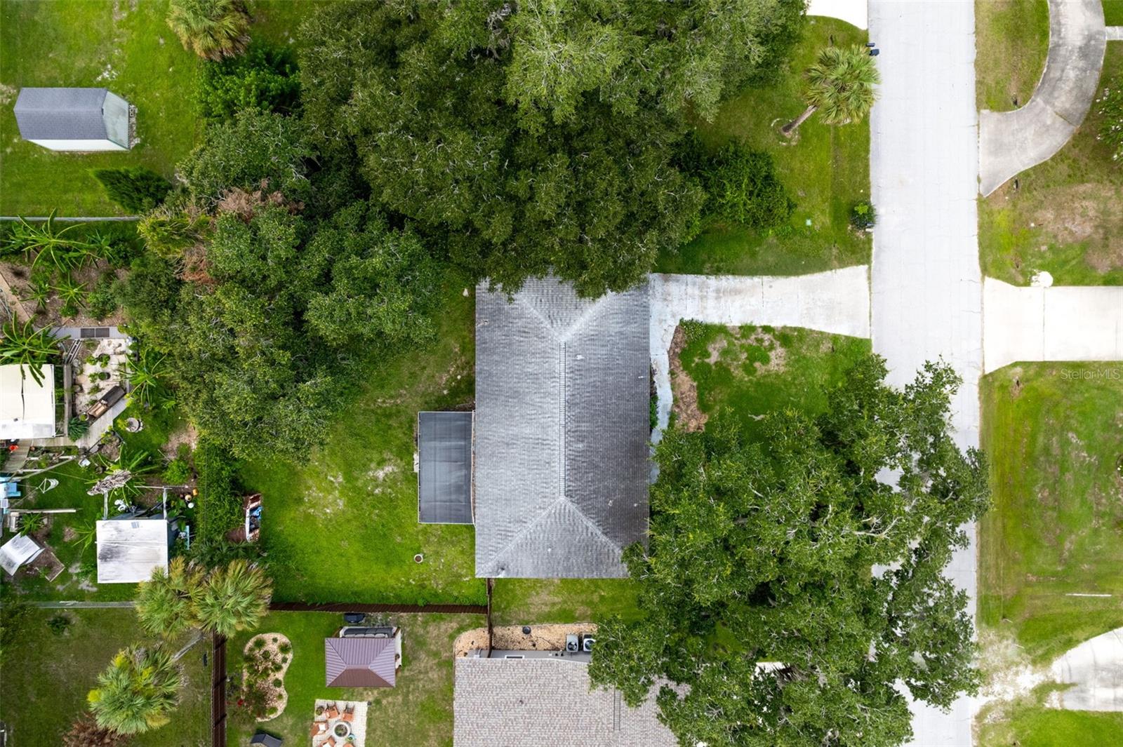 2518 Needle Palm Dr Property Photo 13
