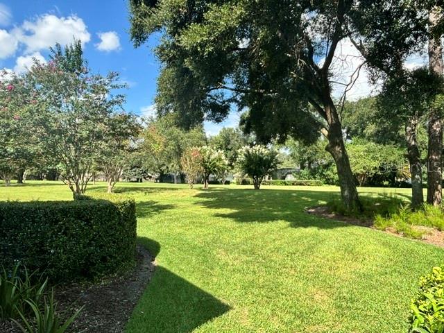 1701 Timber Edge Dr Property Photo 89