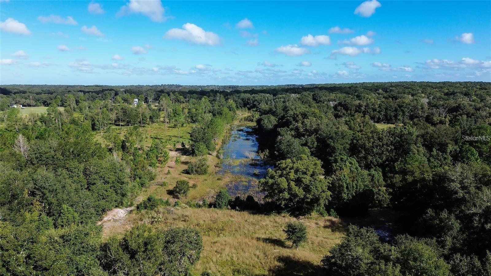 Tree Frog Lot 6 Ln Property Photo 4