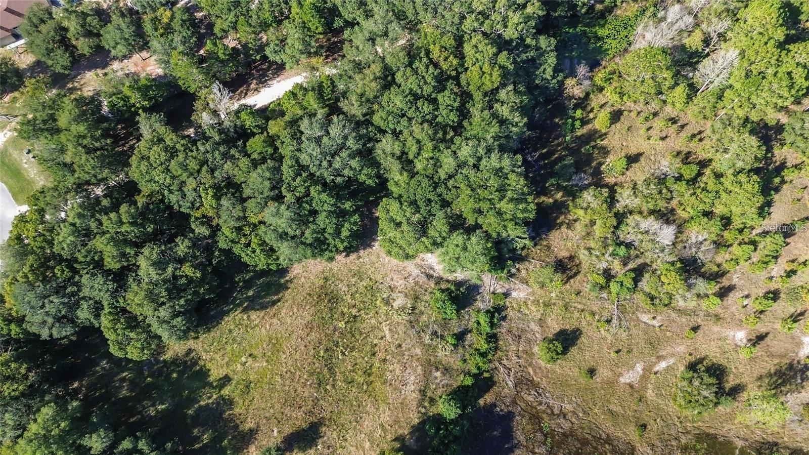 Tree Frog Lot 6 Ln Property Photo 10