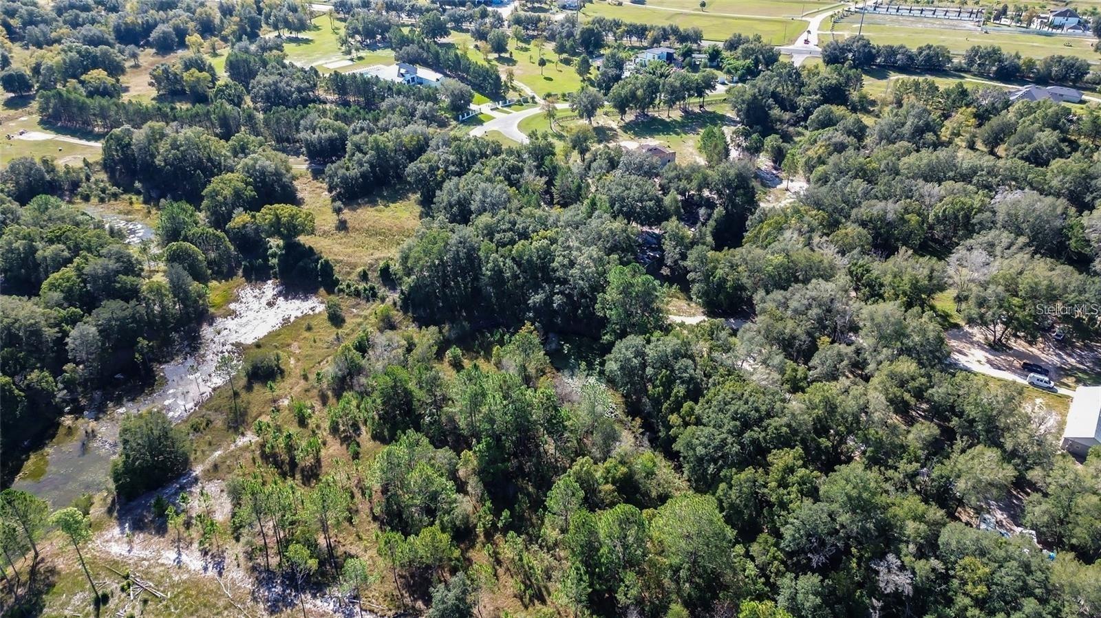 Tree Frog Lot 6 Ln Property Photo 11