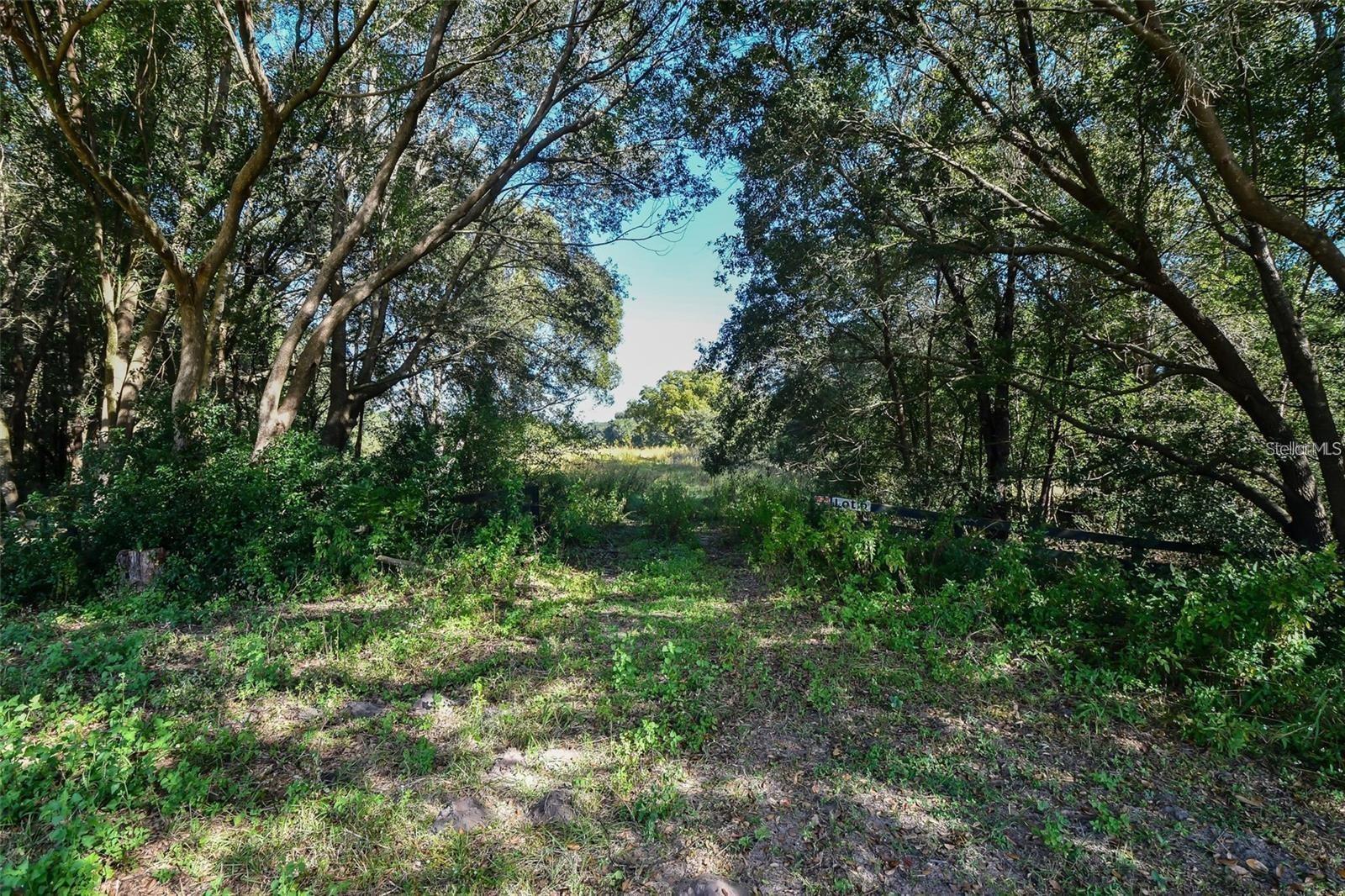 Tree Frog Lot 6 Ln Property Photo 13