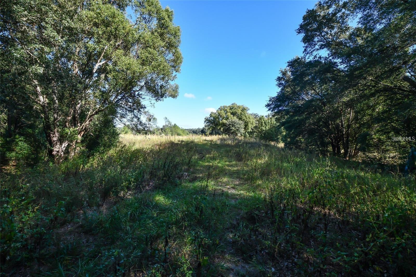 Tree Frog Lot 6 Ln Property Photo 14