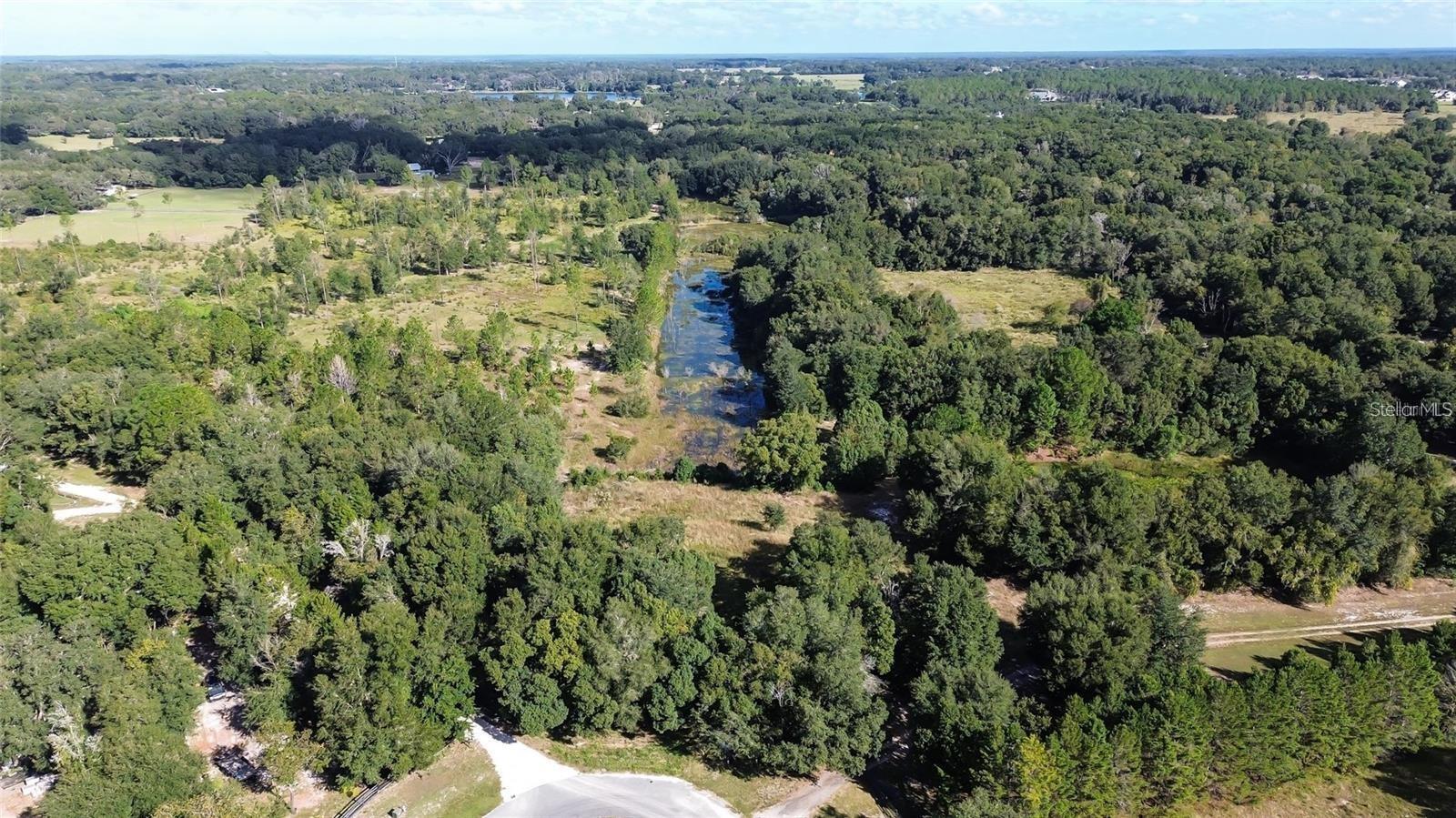 Tree Frog Lot 6 Ln Property Photo 15