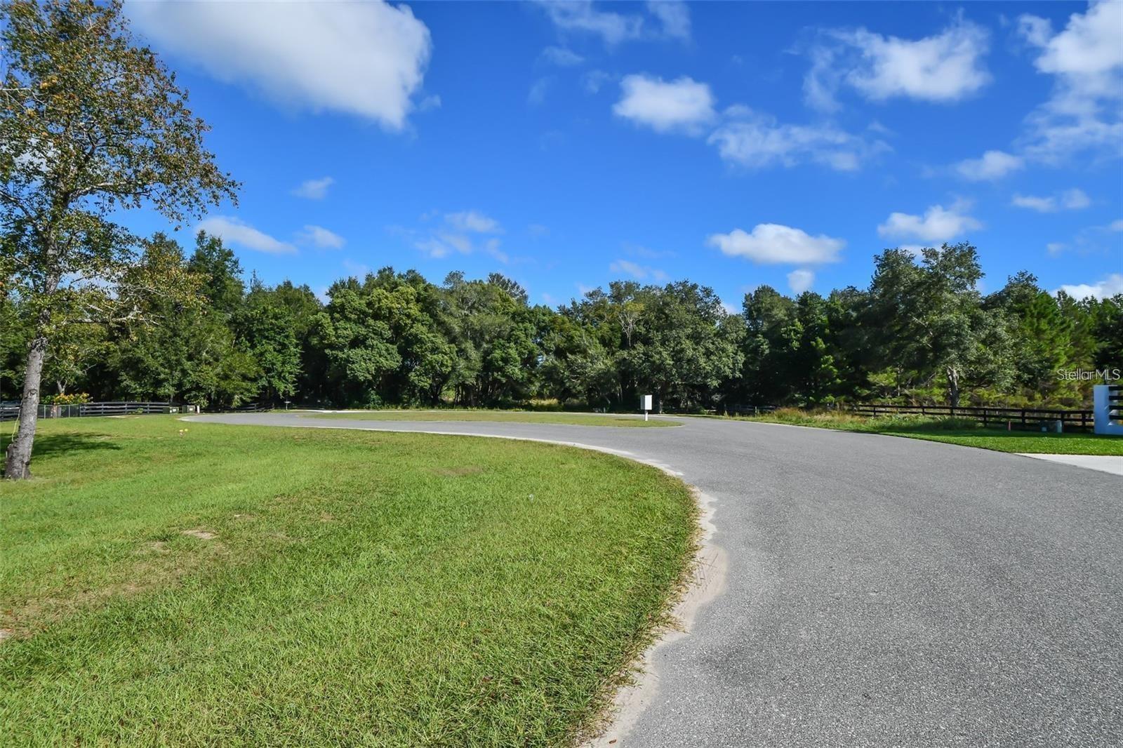 Tree Frog Lot 6 Ln Property Photo 16